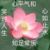 主任