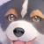 犬夜叉的儿子犬夜跑