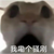 （尚未知）