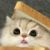 阿奇（作者）