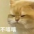 陸不開心錄