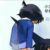 江户川柯南