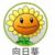 向日葵