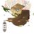 唐明