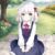 院长