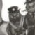 纹鹰空警长