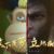 吉吉国王