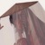 百灵鸟