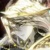 伊莱克斯