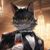 猫爵士