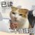 万能角色