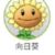 向日葵