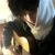 關(guān)昭鳴