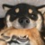 六斤
