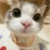 作者