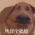 路人甲