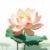 楊琴（后媽?zhuān)?/>
                                <p>楊琴（后媽?zhuān)?/p>
                            </a>
                        </div>
                    <a href=