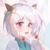 暖猫猫