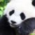 老唐·QQ