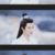 慕师叔