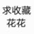 卑微的作者