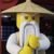 吴大师