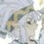 帕洛斯