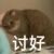 全体女生