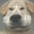 作者