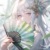 梅花雀