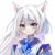 猫白灵