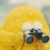 VX：宋亚轩