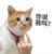 系統(tǒng)花花