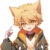 猫小九