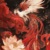凤皇