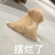 系统