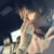 陈晓宇