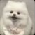 梨子很甜