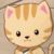 波斯猫
