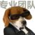劉文耀