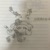 荆棘玫瑰
