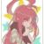 小N