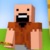 notch