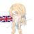 英吉利