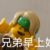 劳历世