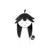 Fouli