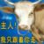 配角2