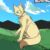 安拉—猫