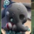 疯象.莫比