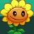向日葵